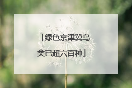 绿色京津冀鸟类已超六百种