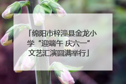 绵阳市梓潼县金龙小学“迎端午 庆六一”文艺汇演圆满举行