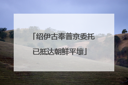 绍伊古奉普京委托已抵达朝鲜平壤
