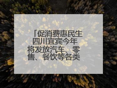 促消费惠民生 四川宜宾今年将发放汽车、零售、餐饮等各类消费券2亿元