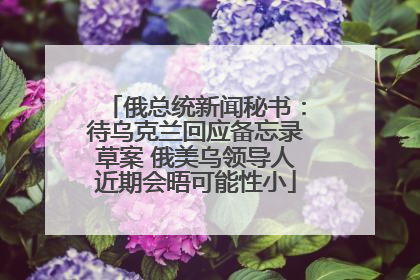 俄总统新闻秘书：待乌克兰回应备忘录草案 俄美乌领导人近期会晤可能性小