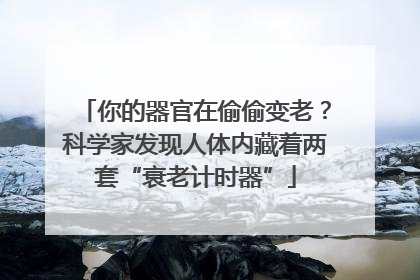 你的器官在偷偷变老？科学家发现人体内藏着两套“衰老计时器”