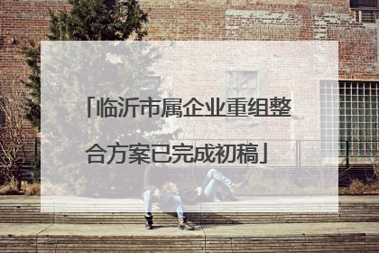 临沂市属企业重组整合方案已完成初稿