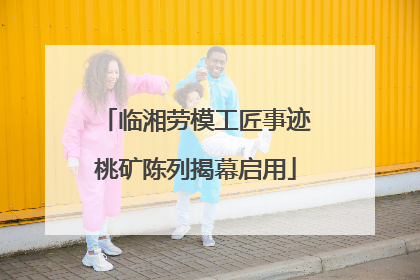 临湘劳模工匠事迹桃矿陈列揭幕启用