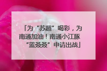 为“苏超”喝彩，为南通加油！南通小江豚“蓝叒叒”申请出战