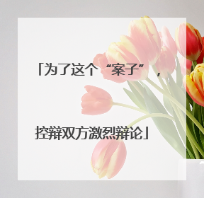 为了这个“案子”，控辩双方激烈辩论