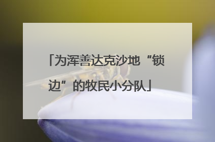 为浑善达克沙地“锁边”的牧民小分队