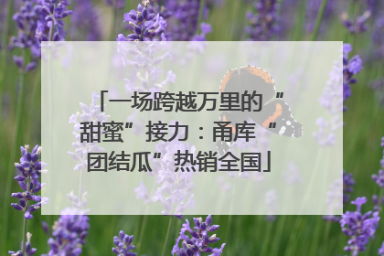 一场跨越万里的“甜蜜”接力：甬库“团结瓜”热销全国