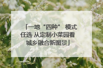 一地“四种” 模式任选 从定制小菜园看城乡融合新图景