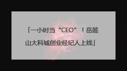 一小时当“CEO”！岳麓山大科城创业经纪人上线