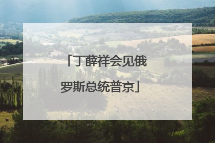 丁薛祥会见俄罗斯总统普京