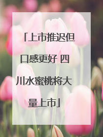 上市推迟但口感更好 四川水蜜桃将大量上市