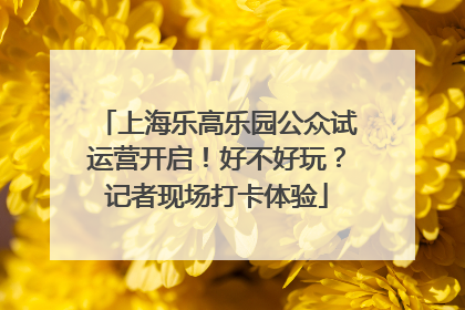 上海乐高乐园公众试运营开启！好不好玩？记者现场打卡体验