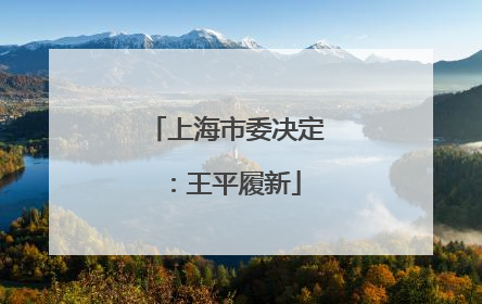 上海市委决定：王平履新
