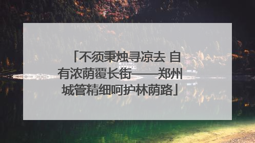 不须秉烛寻凉去 自有浓荫覆长街——郑州城管精细呵护林荫路