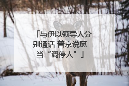 与伊以领导人分别通话 普京说愿当“调停人”