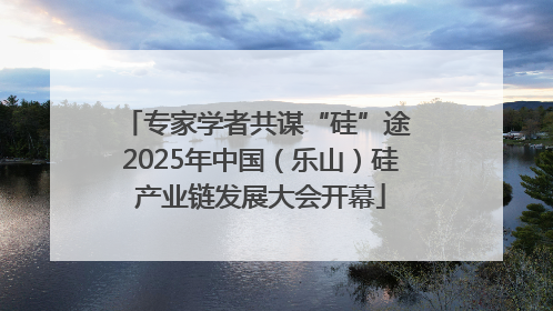 专家学者共谋“硅”途 2025年中国（乐山）硅产业链发展大会开幕