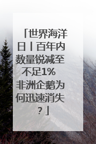 世界海洋日丨百年内数量锐减至不足1% 非洲企鹅为何迅速消失？