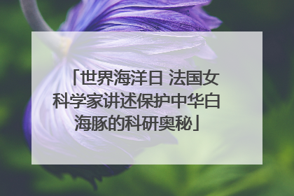 世界海洋日 法国女科学家讲述保护中华白海豚的科研奥秘