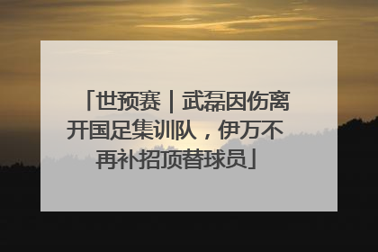 世预赛｜武磊因伤离开国足集训队，伊万不再补招顶替球员