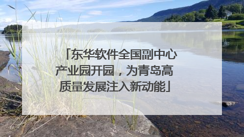 东华软件全国副中心产业园开园，为青岛高质量发展注入新动能