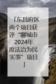 东昌府区两个项目获评“聊城市2024年度法治为民实事”项目