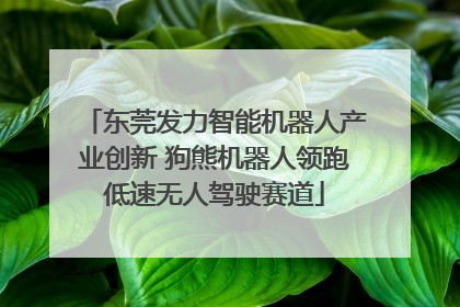 东莞发力智能机器人产业创新 狗熊机器人领跑低速无人驾驶赛道