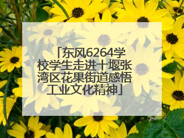 东风6264学校学生走进十堰张湾区花果街道感悟工业文化精神