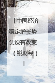 中国经济稳定增长势头没有改变（锐财经）
