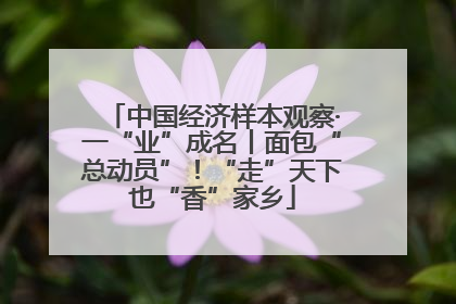 中国经济样本观察·一“业”成名丨面包“总动员”！“走”天下也“香”家乡