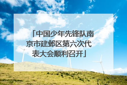 中国少年先锋队南京市建邺区第六次代表大会顺利召开