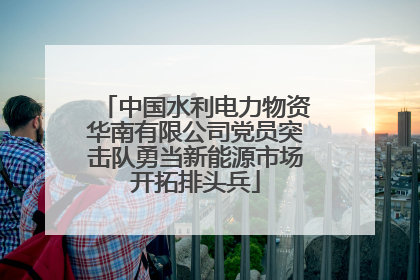 中国水利电力物资华南有限公司党员突击队勇当新能源市场开拓排头兵