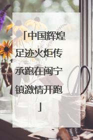 中国辉煌足迹火炬传承跑在闽宁镇激情开跑