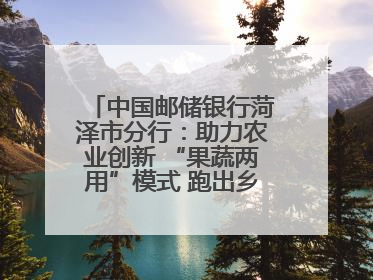 中国邮储银行菏泽市分行：助力农业创新 “果蔬两用”模式 跑出乡村振兴加速度