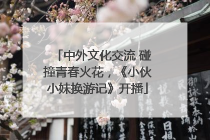 中外文化交流 碰撞青春火花，《小伙小妹换游记》开播