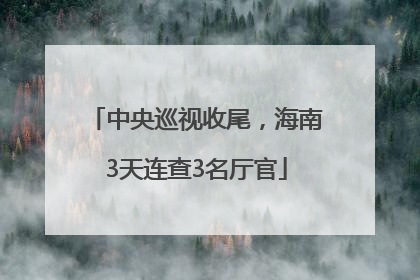 中央巡视收尾，海南3天连查3名厅官