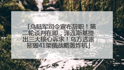 乌陆军司令宣布辞职！第二轮谈判在即，泽连斯基提出三大核心诉求！乌方透露摧毁41架俄战略轰炸机