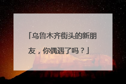 乌鲁木齐街头的新朋友，你偶遇了吗？