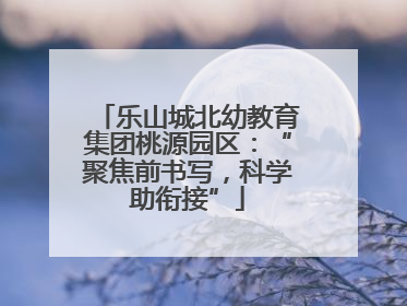 乐山城北幼教育集团桃源园区：“聚焦前书写，科学助衔接”