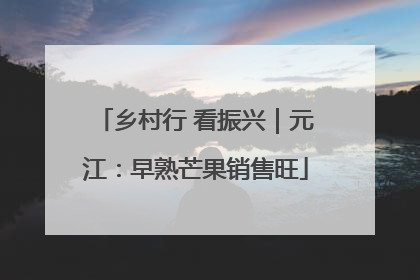 乡村行 看振兴｜元江：早熟芒果销售旺