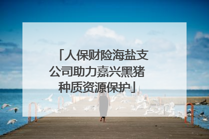 人保财险海盐支公司助力嘉兴黑猪种质资源保护