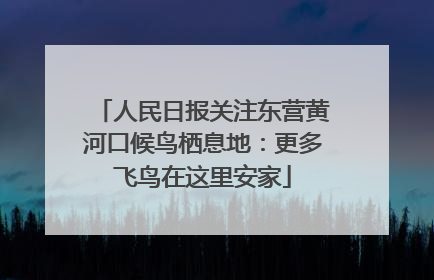 人民日报关注东营黄河口候鸟栖息地：更多飞鸟在这里安家
