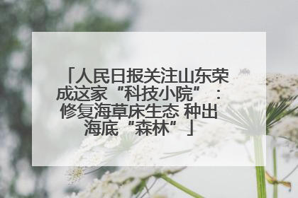 人民日报关注山东荣成这家“科技小院”：修复海草床生态 种出海底“森林”