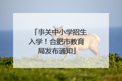 事关中小学招生入学！合肥市教育局发布通知