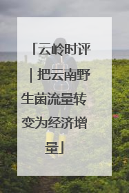 云岭时评|把云南野生菌流量转变为经济增量