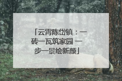 云霄陈岱镇：一砖一瓦筑家园 一步一景绘新颜