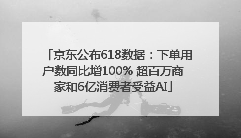 京东公布618数据：下单用户数同比增100% 超百万商家和6亿消费者受益AI