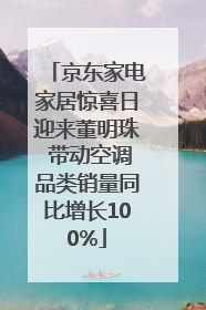 京东家电家居惊喜日迎来董明珠 带动空调品类销量同比增长100%