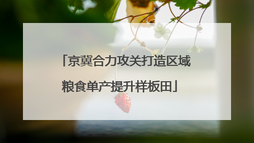 京冀合力攻关打造区域粮食单产提升样板田