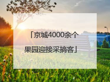 京城4000余个果园迎接采摘客